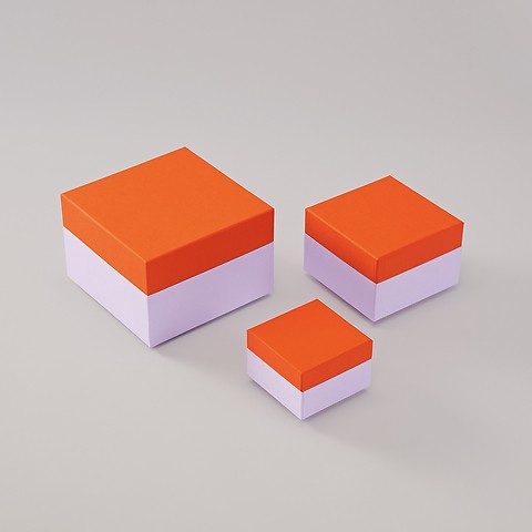 Aufbewahrungsbox, Cutting Edge tangerine lavender L